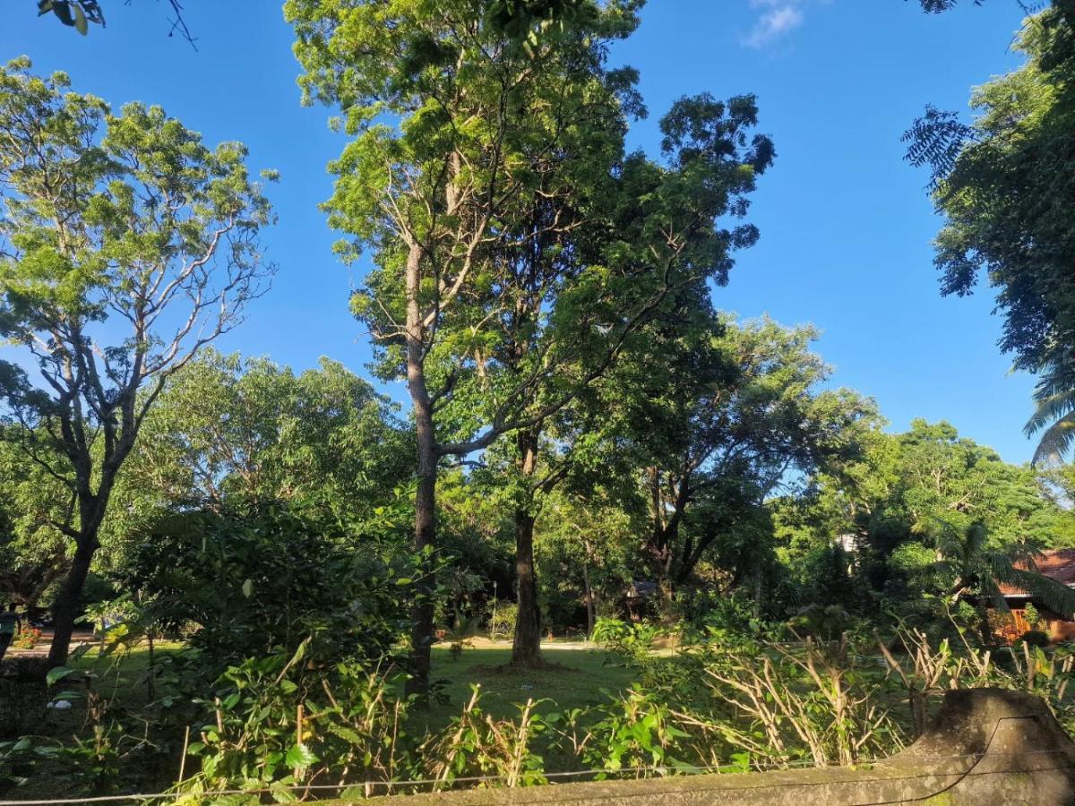 Sigiriya Cottage Экстерьер фото
