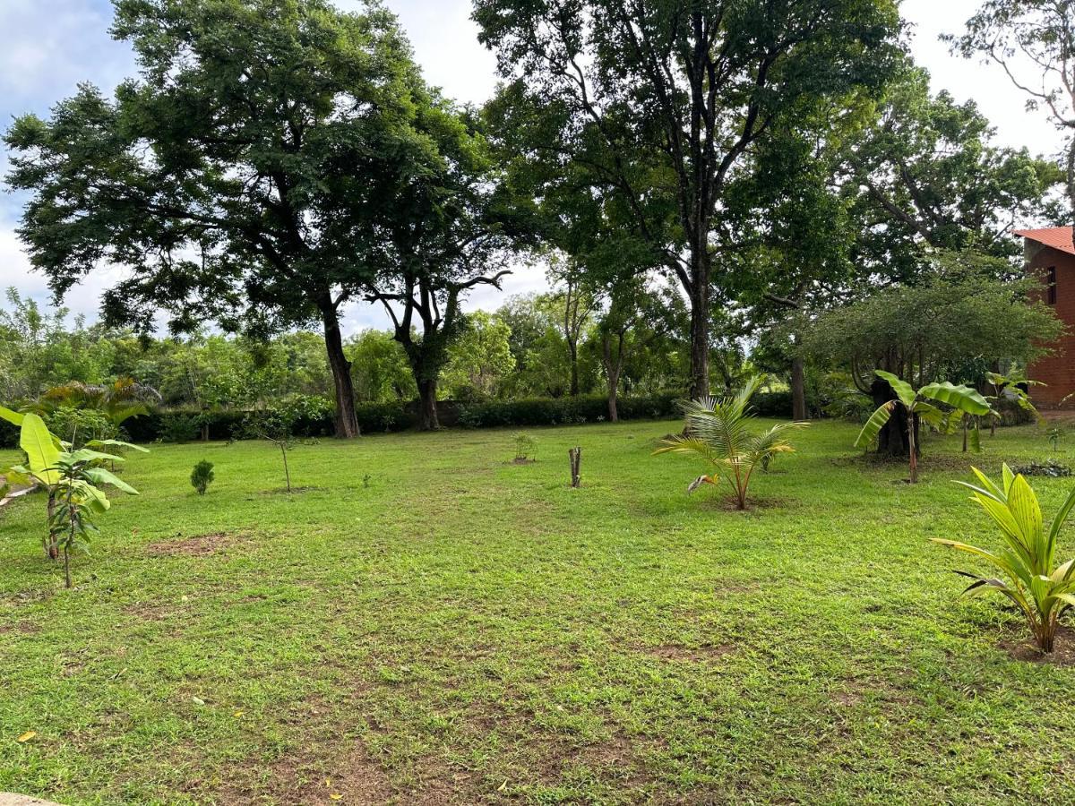 Sigiriya Cottage Экстерьер фото