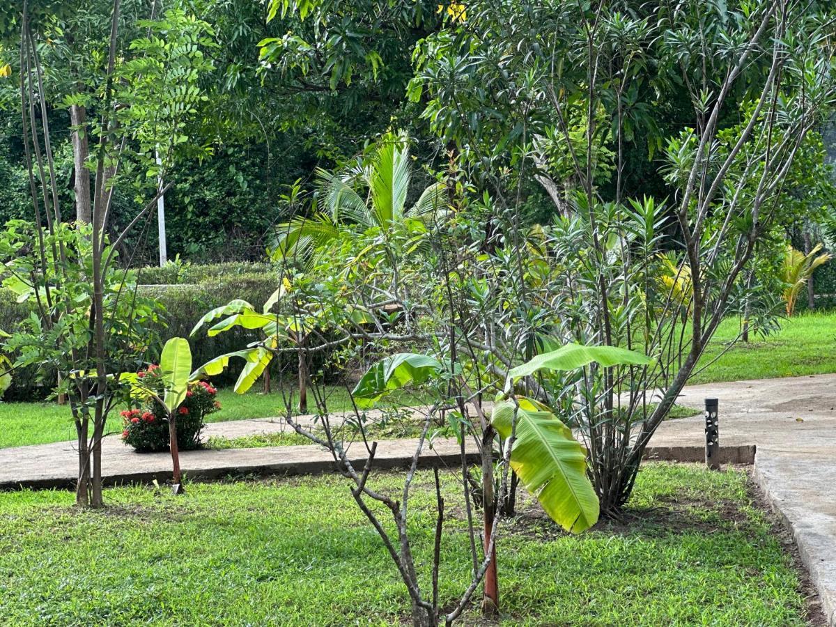 Sigiriya Cottage Экстерьер фото