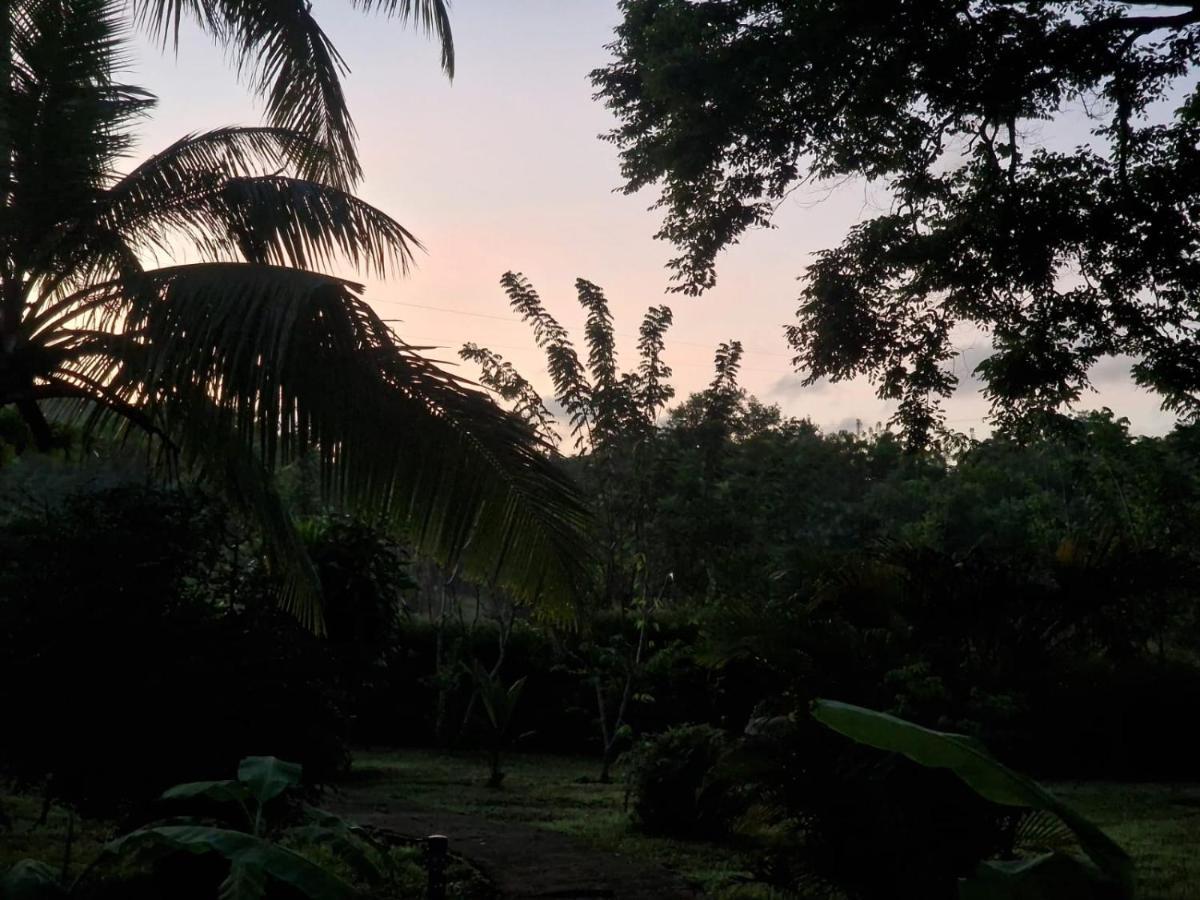 Sigiriya Cottage Экстерьер фото