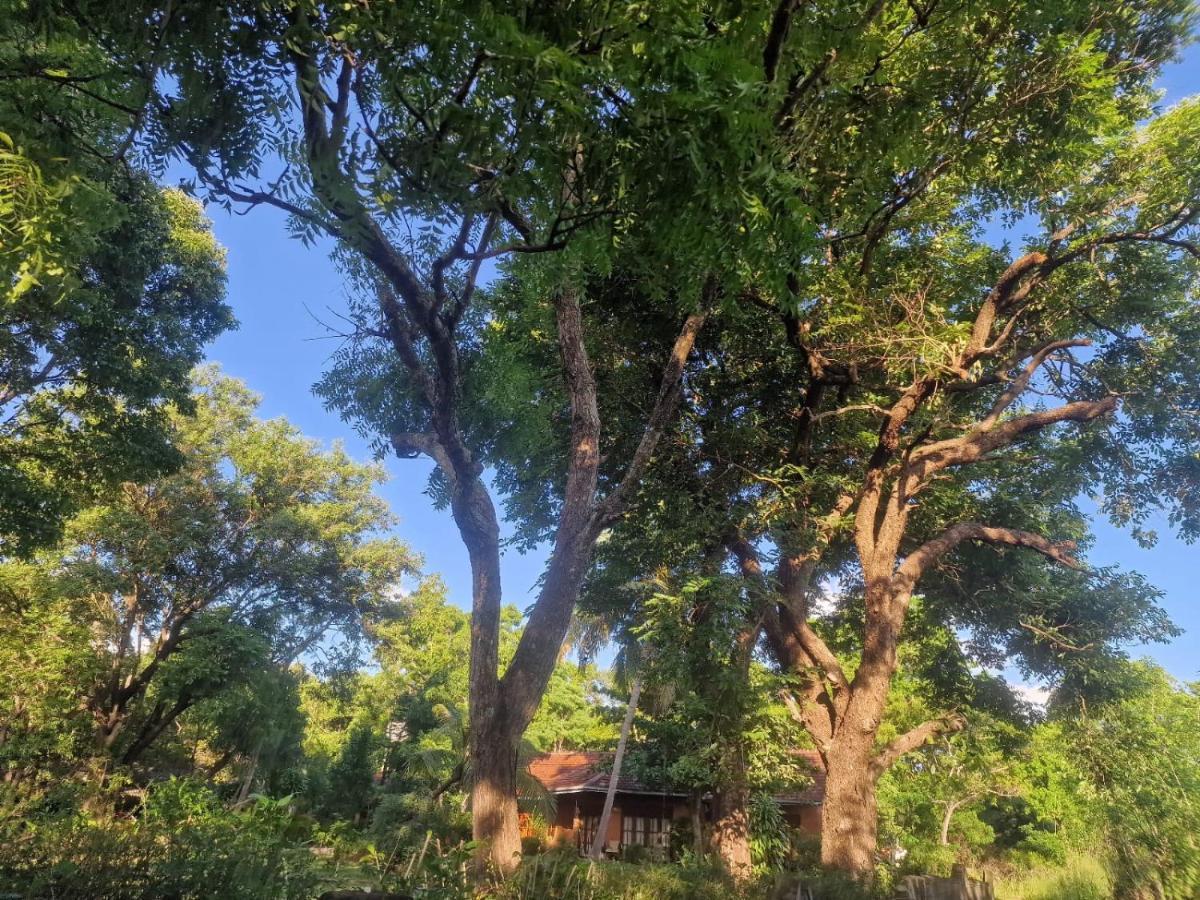 Sigiriya Cottage Экстерьер фото
