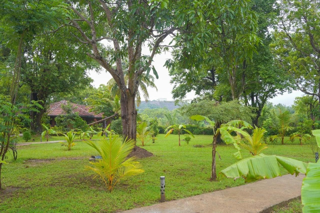 Sigiriya Cottage Экстерьер фото