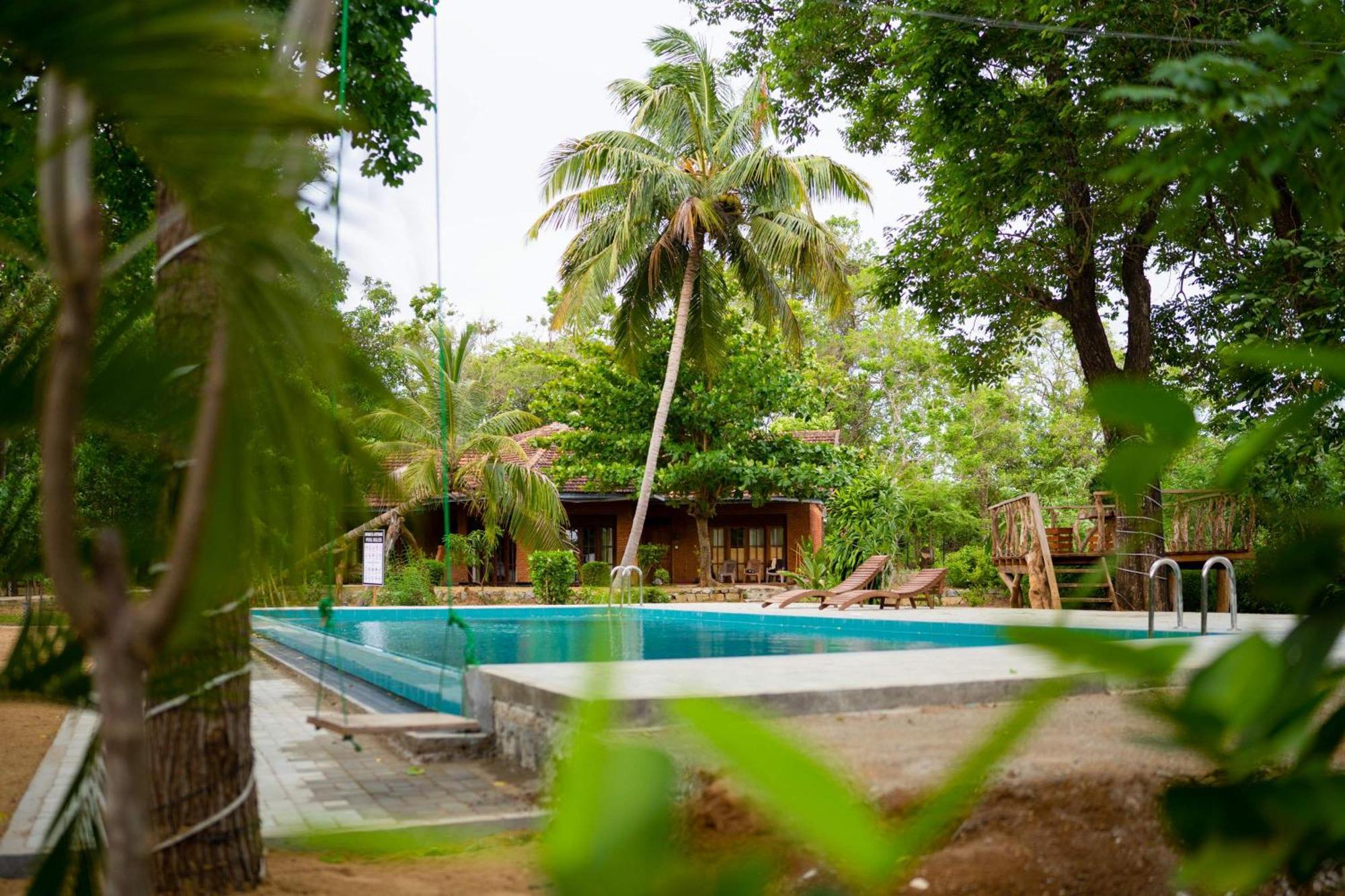 Sigiriya Cottage Экстерьер фото